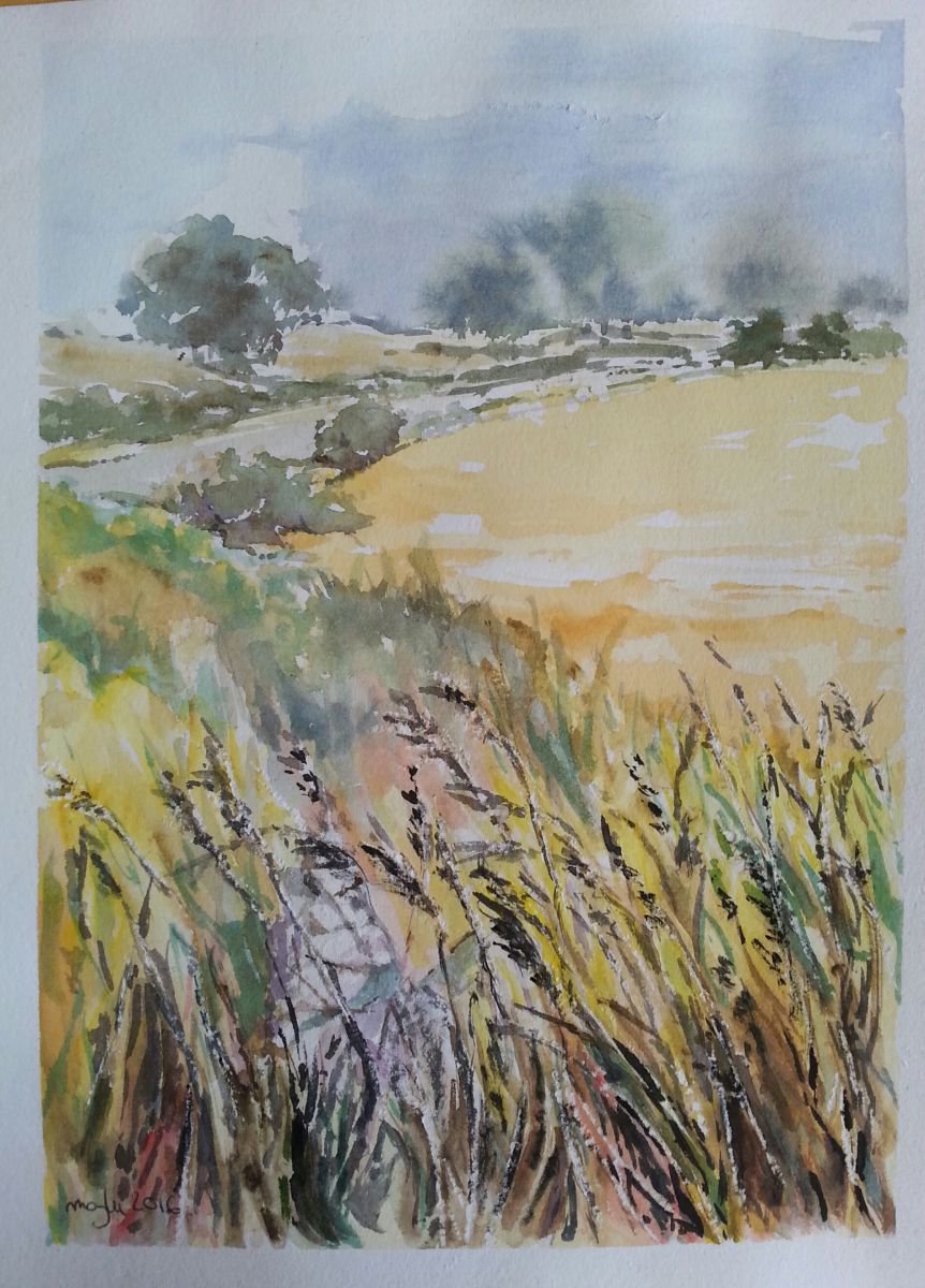 LLEGANDO A RUIDERA by Maylu Garci?a