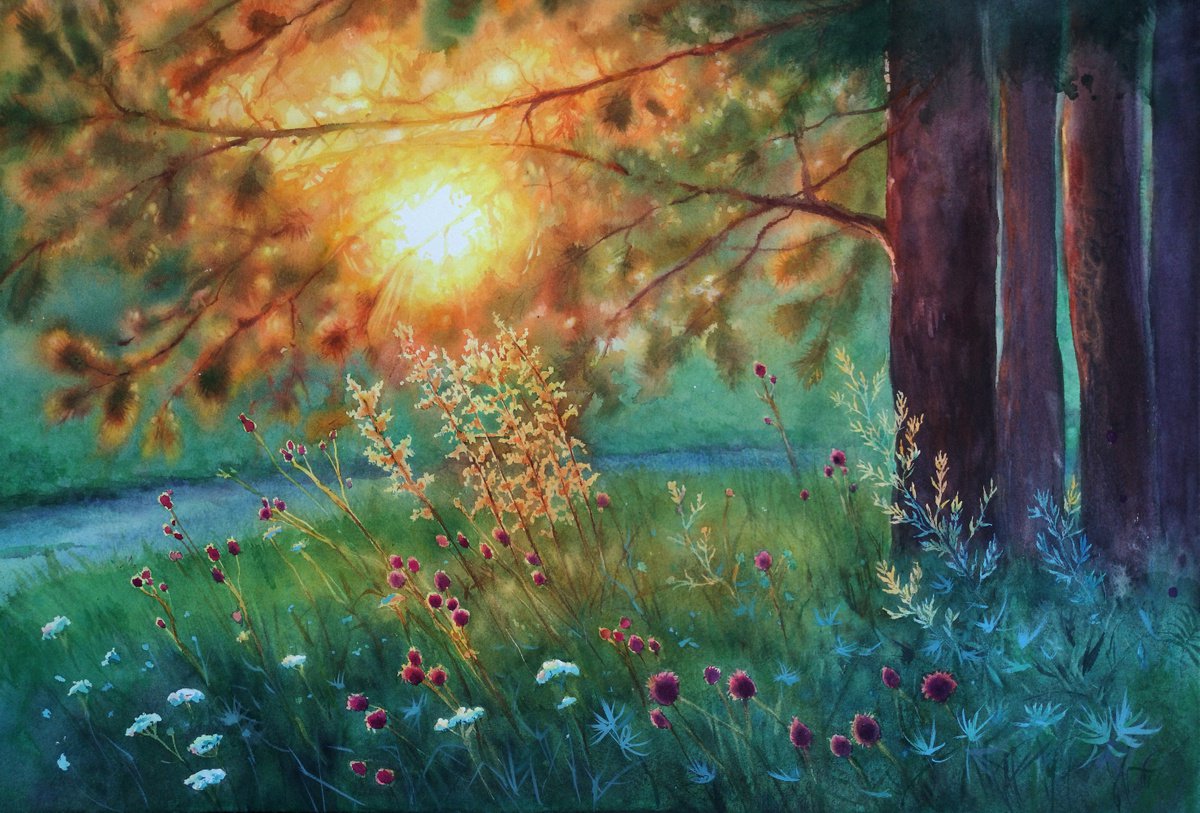 Sun rays through pine tree branches at sunset - summer landscape - forest by Olga Beliaeva Watercolour