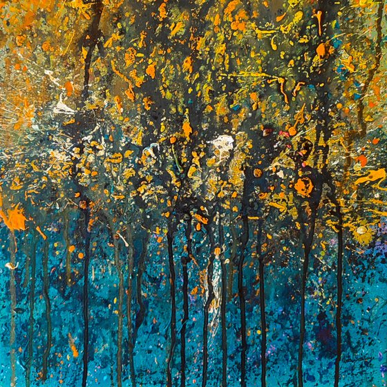 Eclats de lumière