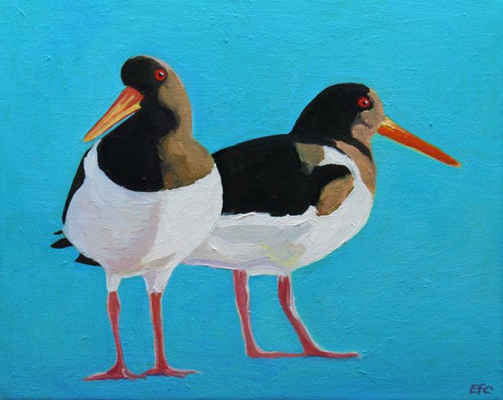 The Oystercatchers