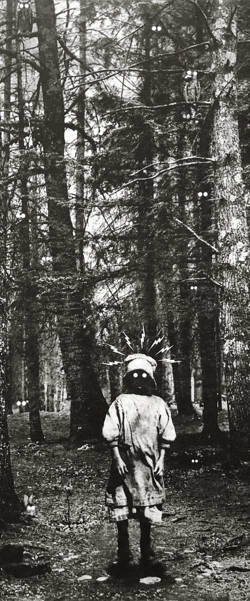 Exterior No.33: The Woods Are Angry by Jaco Putker