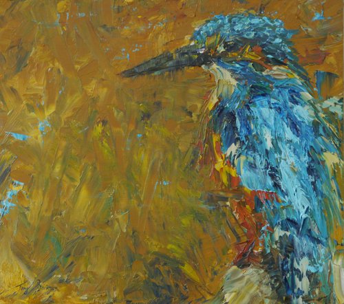Kingfisher by Tony Berriman