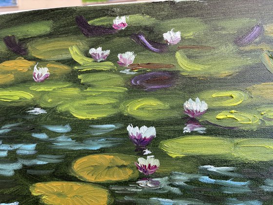 Water Lilies in the Sunlight