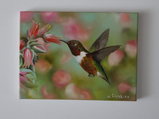 Hummingbird with Flowers