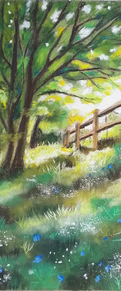 Morning light meadow by Liubov Samoilova