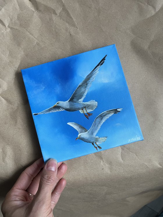 Seagulls