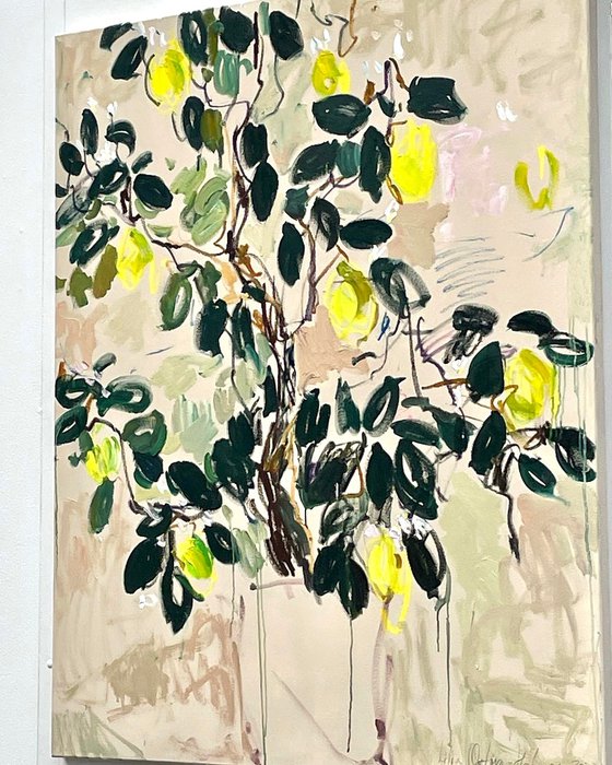 Lemon tree.