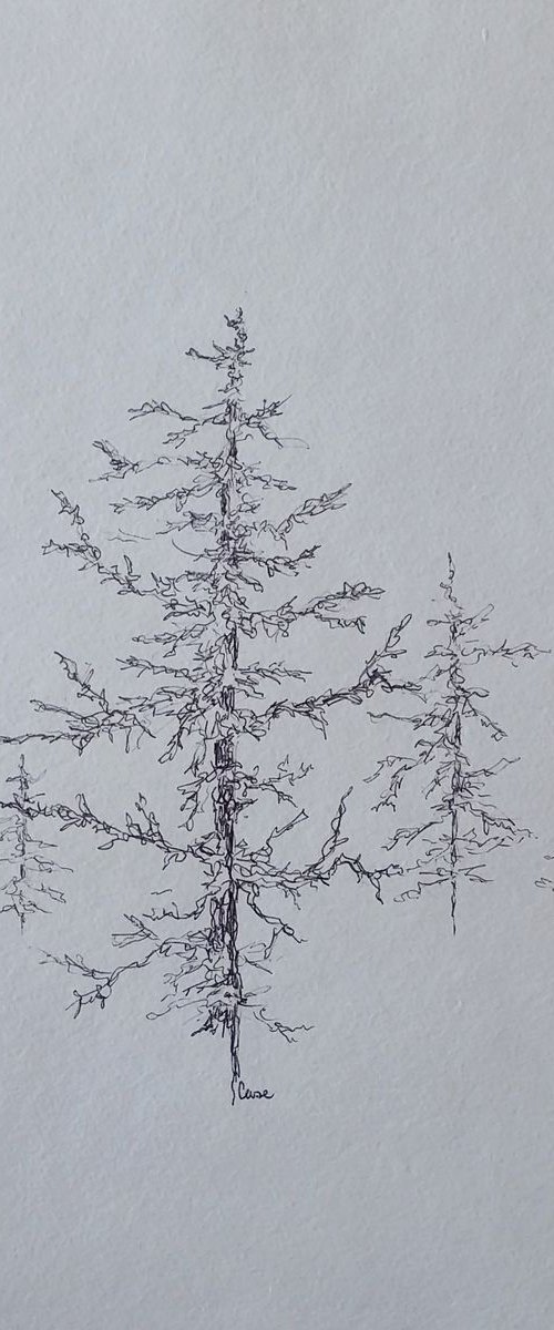 Trees - Landscape - "Among the Pines" by Katrina Case