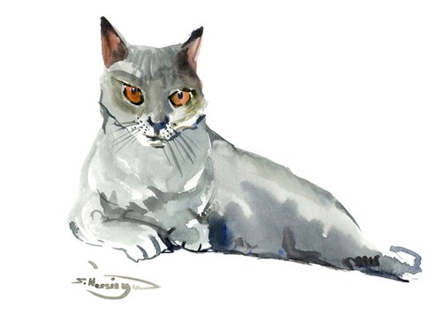 gray cat by Suren Nersisyan