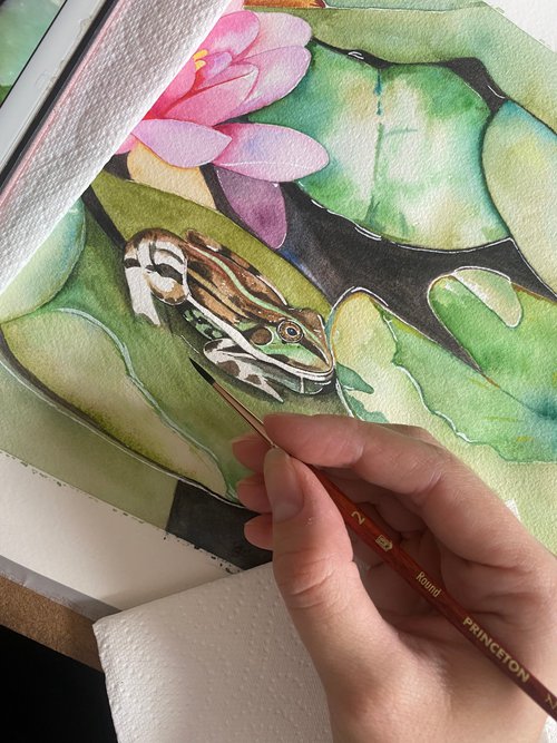 Lily pads and frog watercolour painting by Bethany Taylor