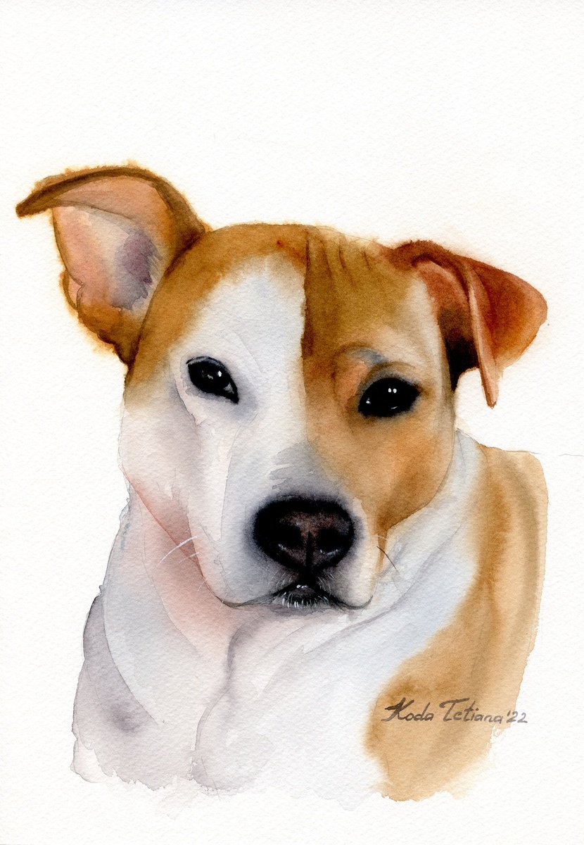 Impressionistic Animal Watercolour By Tetiana Koda, 8 X 12", Pet Portrait, Original Artwork