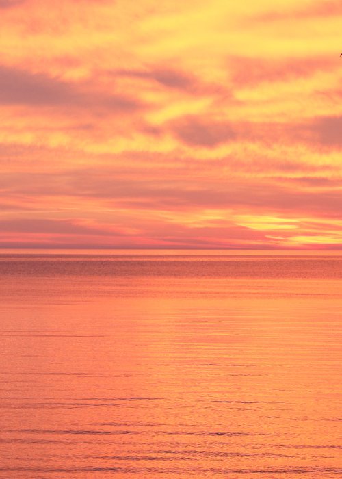 Photography | Pink Orange Sunset in Baltic Sea by Ruta UM