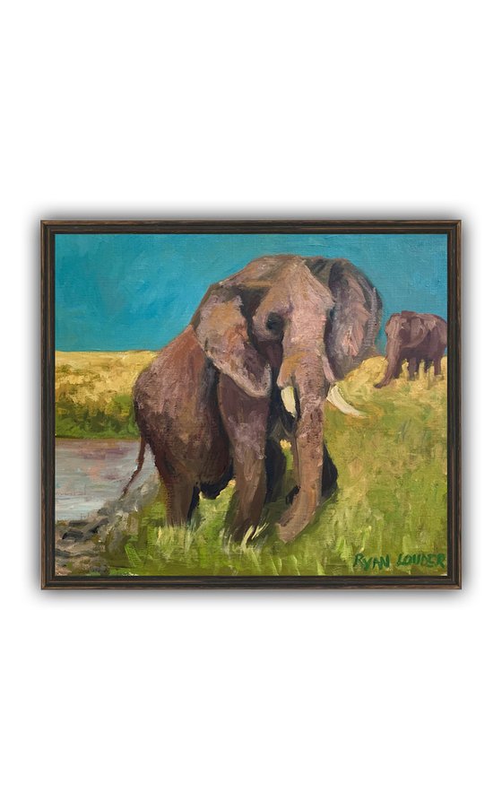 Elephant by the River