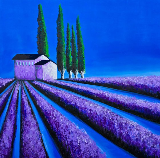 The simmetry of Provence X