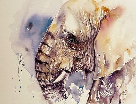 Elephant_Wrinkled