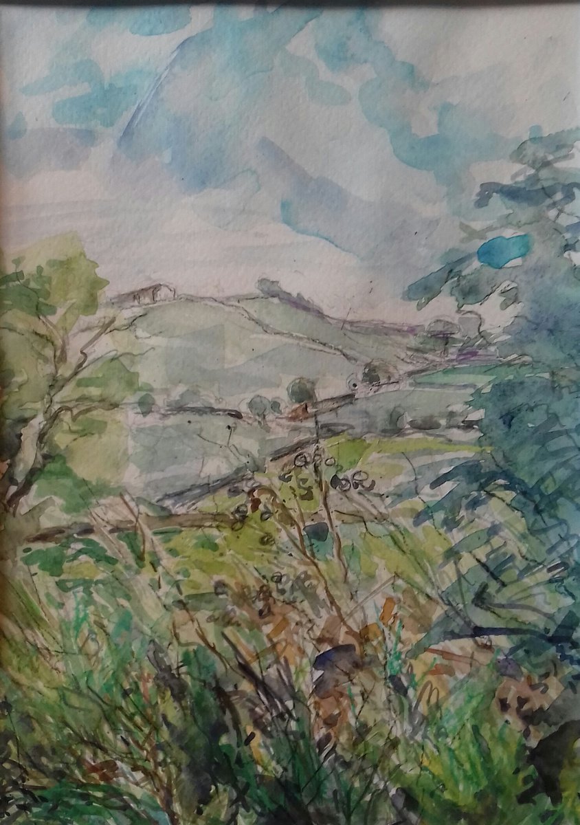 Pennine Meadow by Ann Kilroy