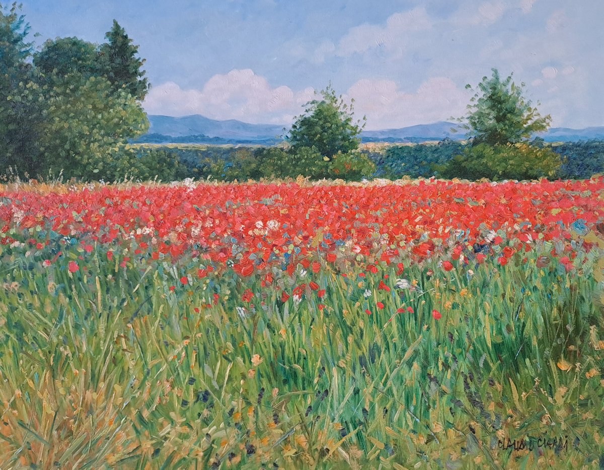 Impressionistic Botanical Oil Painting By Claudio Ciardi, 20 X 16, Field Of Poppies In Provence, Original Artwork