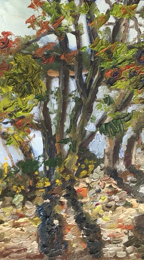 Lakeside near Brockenhurst by Julian Lovegrove Art