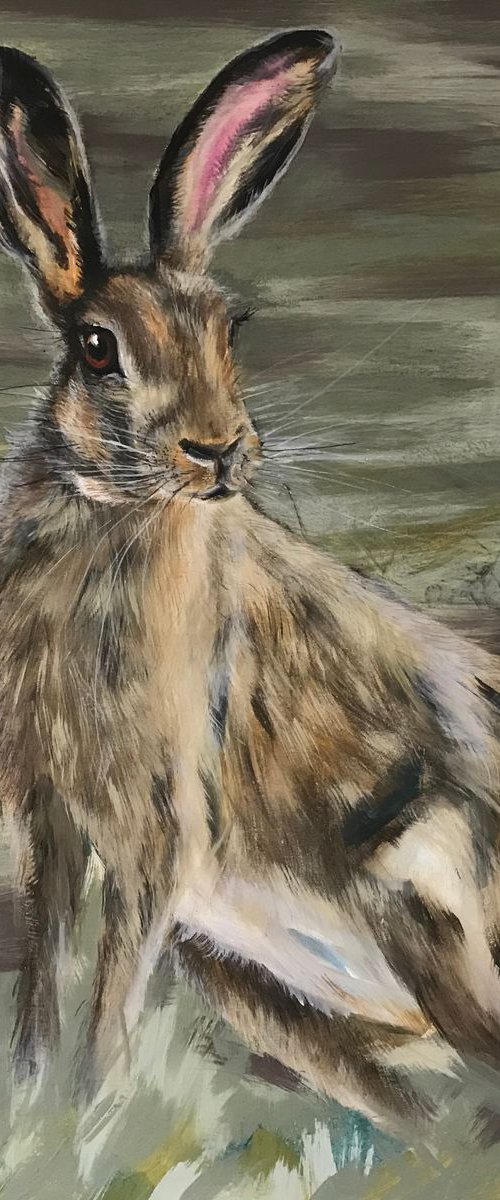 Moorland hare by Amanda Lakin Art