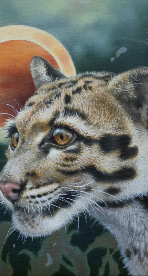 Beneath the Eclipse - Clouded Leopard by Yuko Montgomery