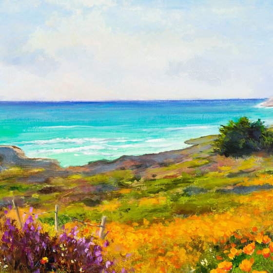 'Coastal wildflowers'