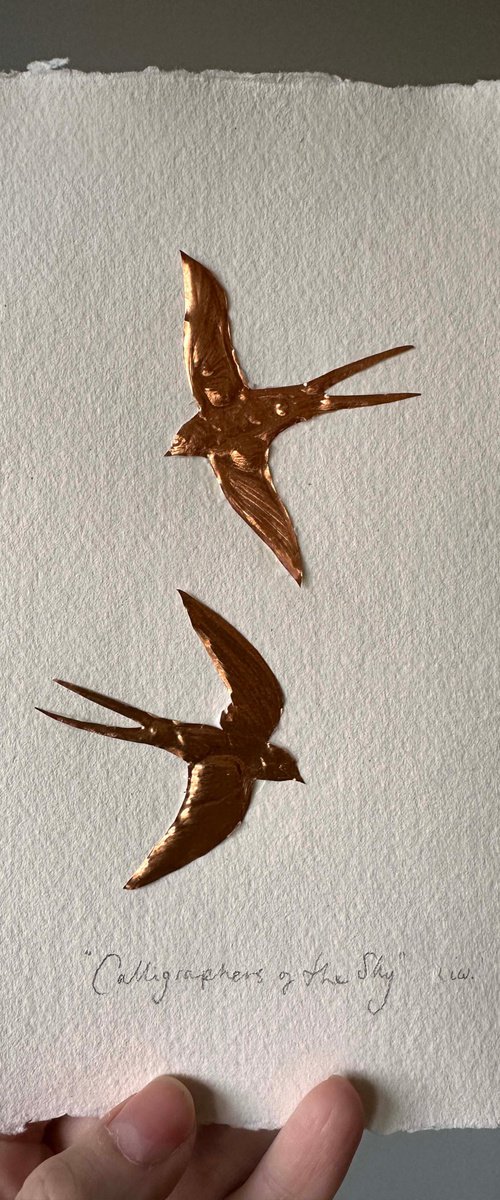 Calligraphers Of The Sky by Victoria Lucy Williams