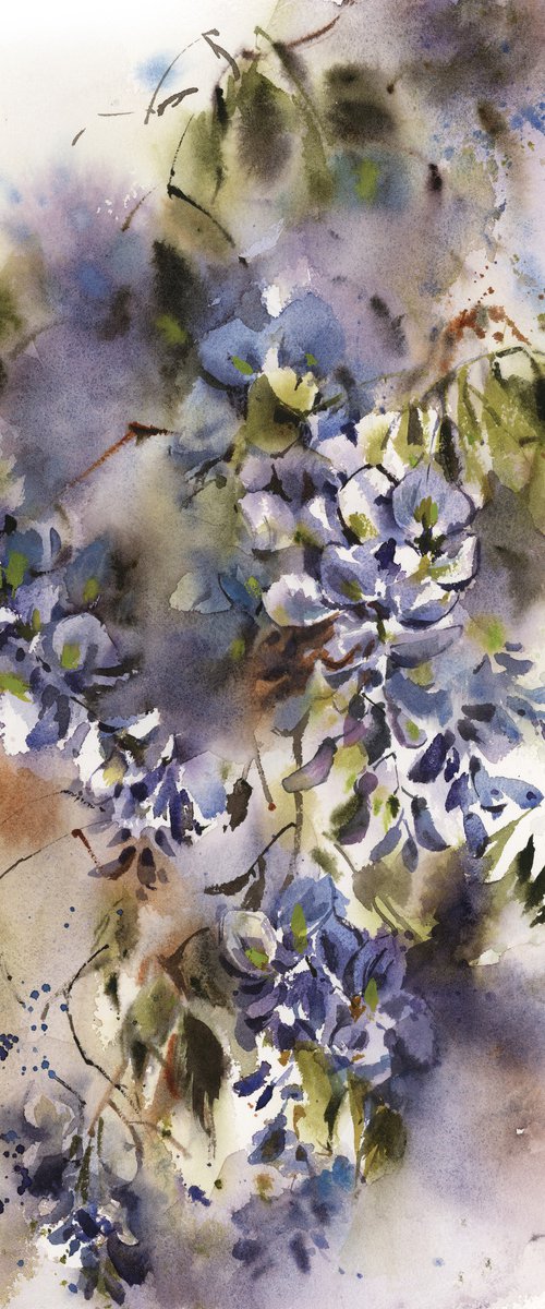 Wisteria Florals Watercolor Painting, Blossoms Painting, Flowers Watercolour Art by Sophie Rodionov