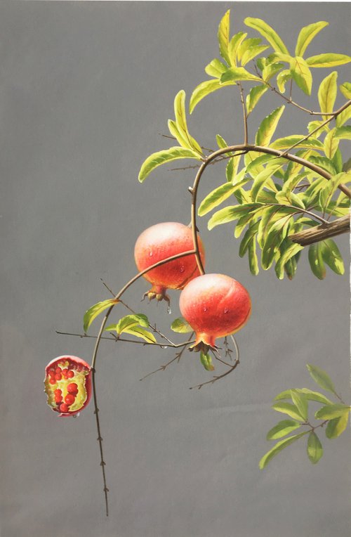 Still life:Pomegranates on the trees t179 by Kunlong Wang