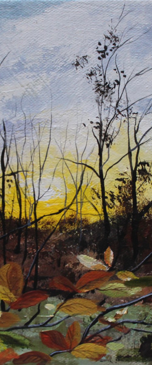 Autumn Light by Valerie Jobes