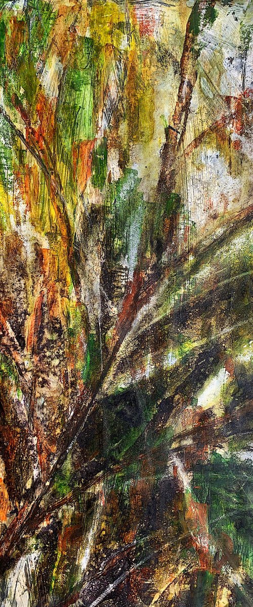 Through the Rainforest by Suzsi Corio
