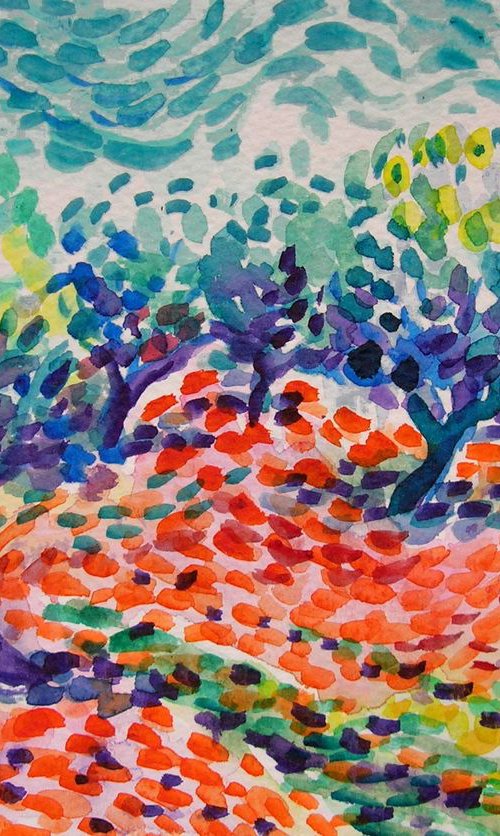 Olive grove by Maja Grecic