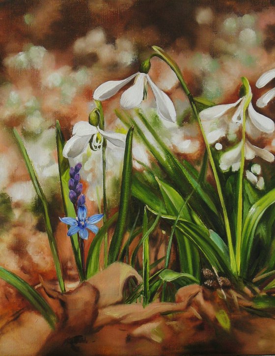 Snowdrop