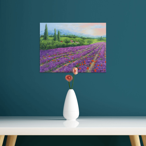 Purple lavender field