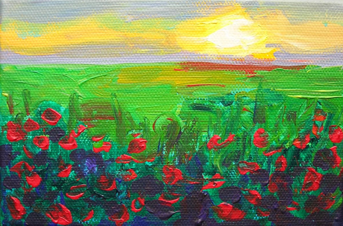 Poppy sunset by Maja Grecic