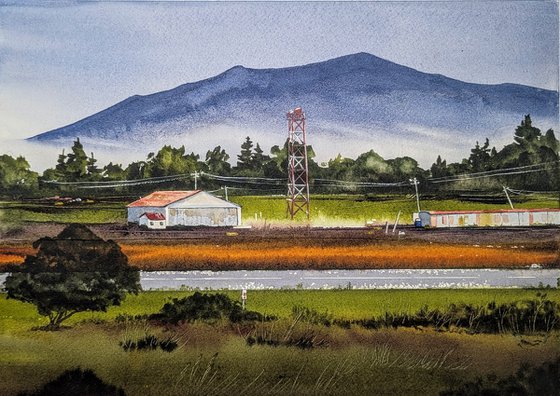 Coastal Farm