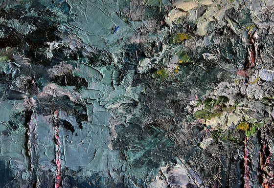 Winter Trail in the Forest