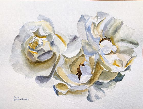 White rose painting Love Art purity happiness impressionism watercolors Roses Gift idea Wall Art White flower