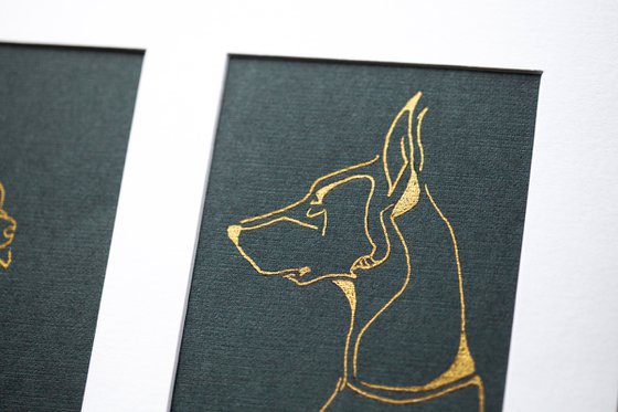 "Portraits of Doberman pinscher"