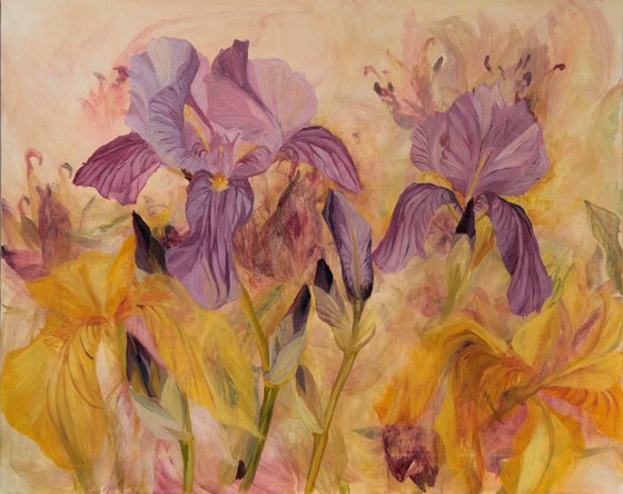 Flower-de-luce (Iris)