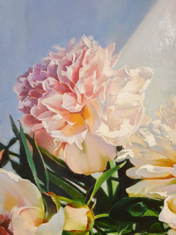 "Peonies bathe in sunlight."