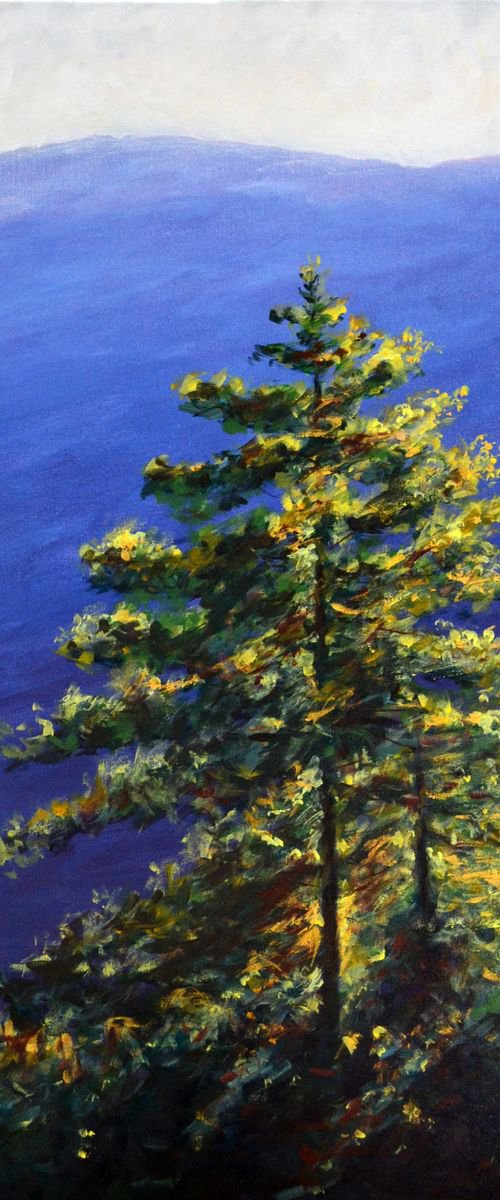 Bhutan series - Pine trees and blue mountains by Uma  Krishnamoorthy