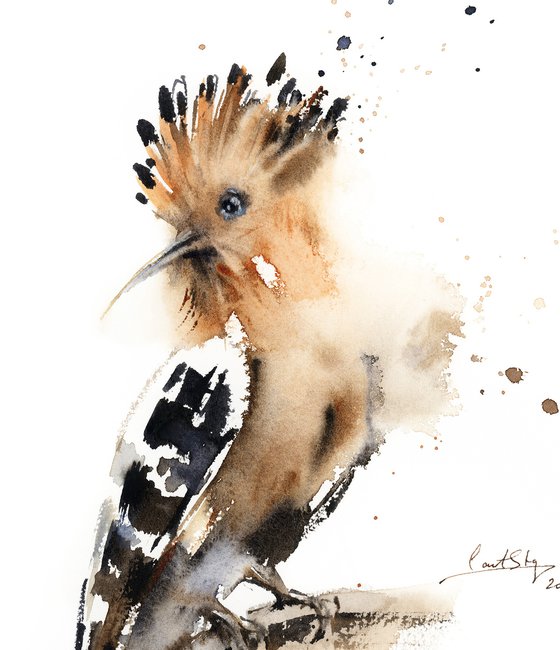 Hoopoe Bird Watercolor Painting