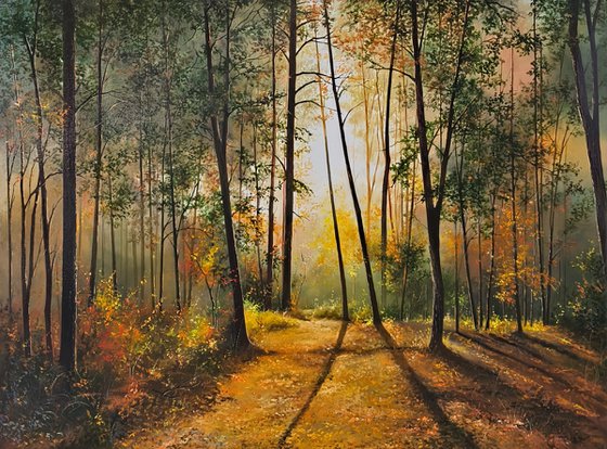 Sunlit Forest Serenity