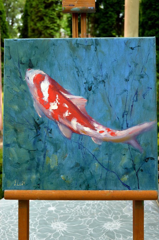 Red Koi carp