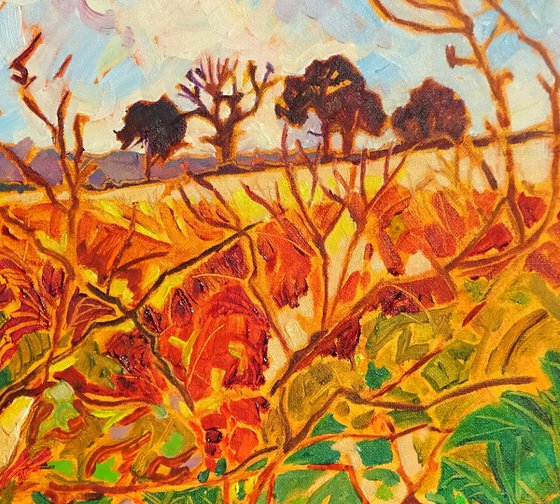 Derbyshire Hedgerow - Winter Landscape