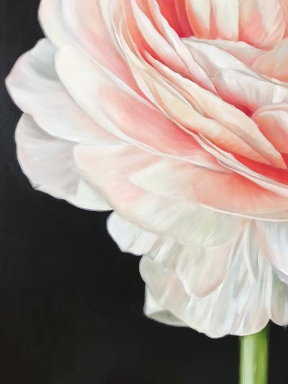 Large square painting with ranunculus 90*90 cm by Ivlieva Irina