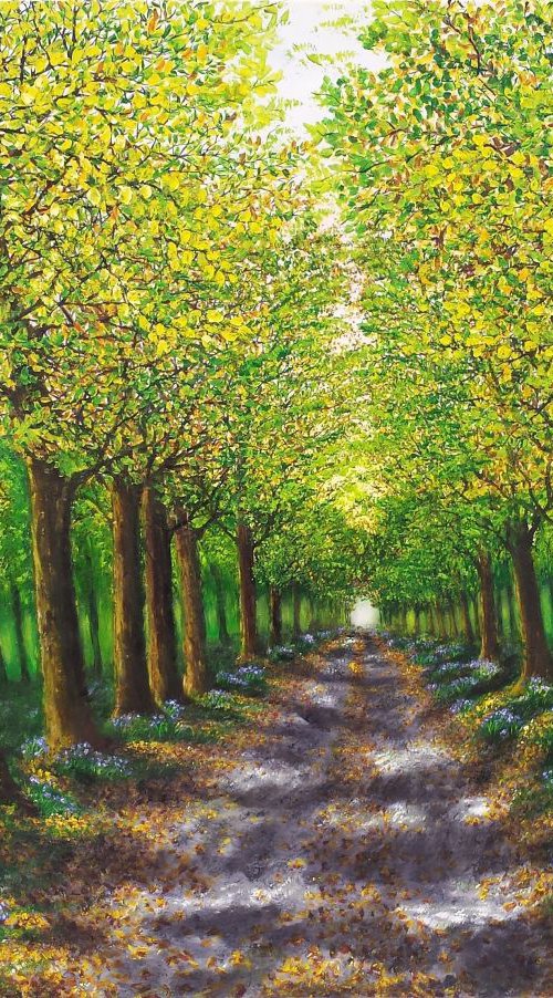 Spring Tree Lined Walk by Hazel Thomson
