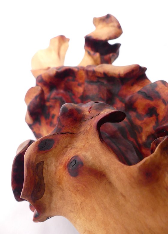 Emerging Phoenix - Abstract Wood Sculpture