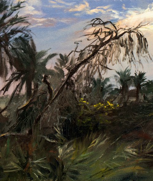Friday Sunrise by Mazen Ghurbal