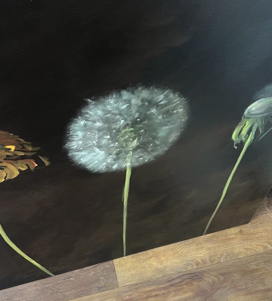 Dandelions